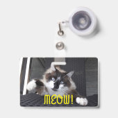 Miauw! Badge (Voorzijde met uittrekbare clip)