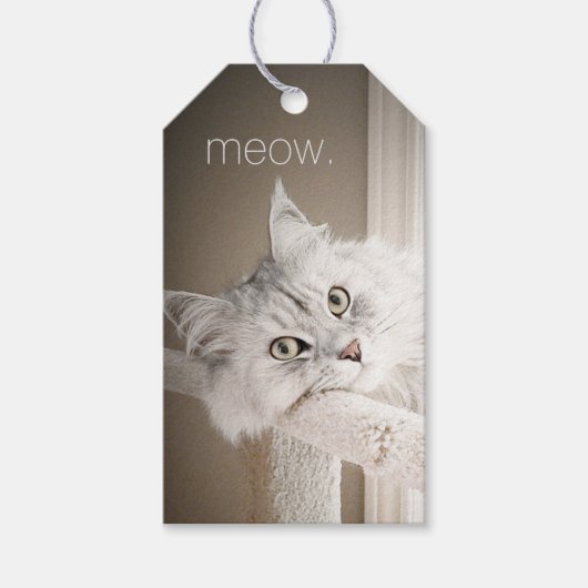 Miauw Cadeau Labels Cadeaulabel (Voorkant)