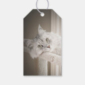 Miauw Cadeau Labels Cadeaulabel (Achterkant)