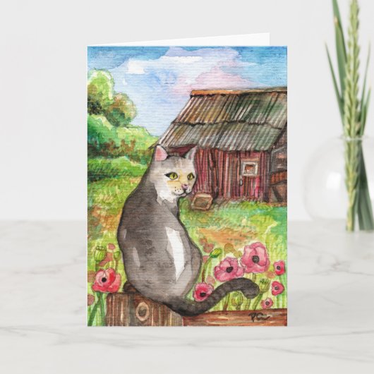 Miauw in de schuur kaart (Voorkant)
