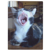 Miauw Katten 30 Klembord (Achterkant)