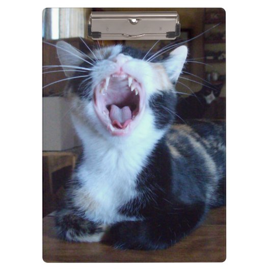 Miauw Katten 30 Klembord (Voorkant)