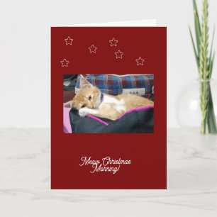Miauw Kerstmis ,foto, tekst, vervangbaar Feestdagen Kaart