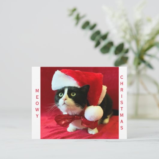 Miauw Kerstmis Tuxedo Kat Feestdagenkaart (Staand voorkant)