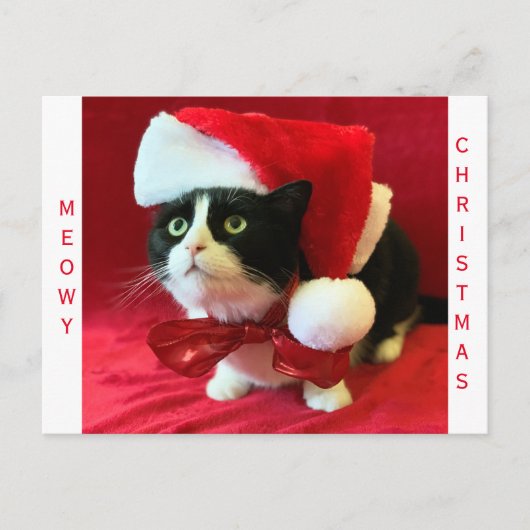 Miauw Kerstmis Tuxedo Kat Feestdagenkaart (Voorkant)