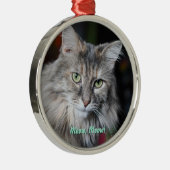 Miauw Miauw Cat Portret Metalen Ornament (Rechts)