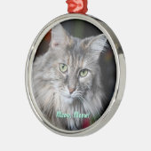 Miauw Miauw Cat Portret Metalen Ornament (Links)