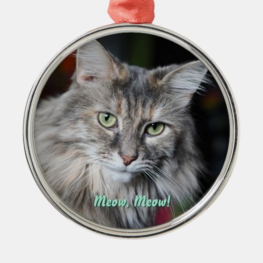 Miauw Miauw Cat Portret Metalen Ornament (Voorkant)