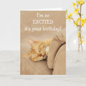 Miauw-Velous van de Cat Birthday Kaart (Gele Bloem)