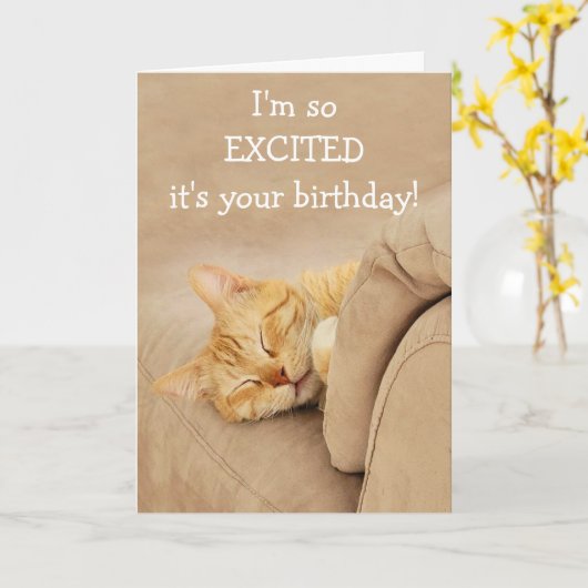 Miauw-Velous van de Cat Birthday Kaart (Gele Bloem)