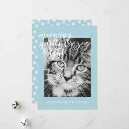 Miauwende Geesten Verlichten Je Kattenfoto Vakanti Feestdagenkaart