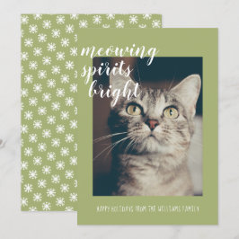 Miauwende Geesten Verlichten Je Kattenfoto Vakanti Feestdagenkaart