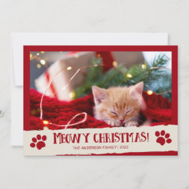 Miauwende Kerstmis Huisdierkat Foto Kerstkaart