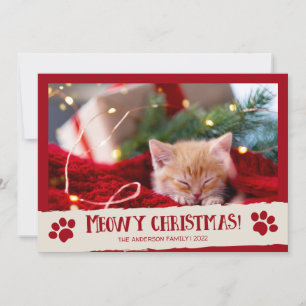 Miauwende Kerstmis Huisdierkat Foto Kerstkaart