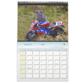 Mice - George the mouse in a log pile house Calend Kalender (Feb 2026)