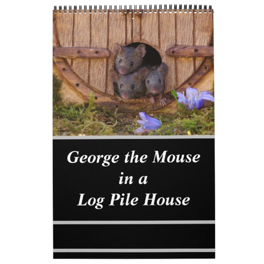 Mice - George the mouse in a log pile house Calend Kalender (Hoes)