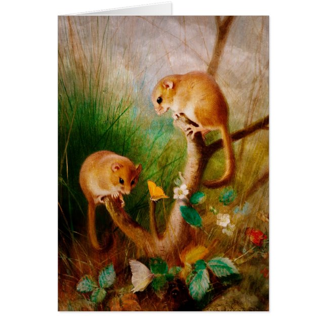 Mice is Nice (Voorkant)