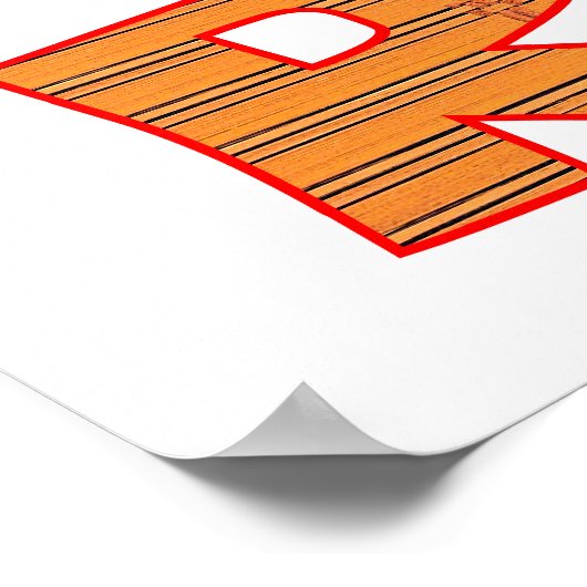 MICE RULE Poster (Hoek)