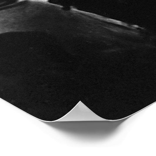 Michael Collins Free State Demonstration 1922 Poster (Hoek)