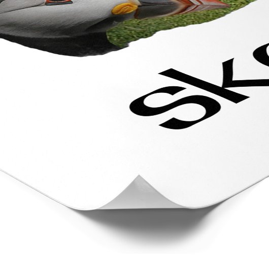 Michael, Puffin, Skellig Michael Poster (Hoek)