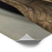 Michael Scofield Prison Break Poster (Hoek)