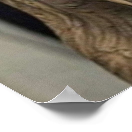 Michael Scofield Prison Break Poster (Hoek)