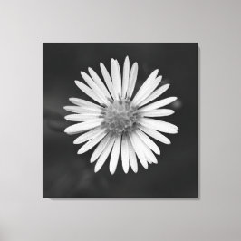 Michaelmas Aster Bloem Canvasprint Canvas Afdruk