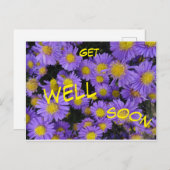 Michaelmas Aster Ziekenkaart Briefkaart (Voorkant / Achterkant)