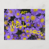 Michaelmas-aster Ziekte Verzending Kaart (Voorkant)