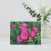 Michaelmas Daisies Briefkaart (Staand voorkant)