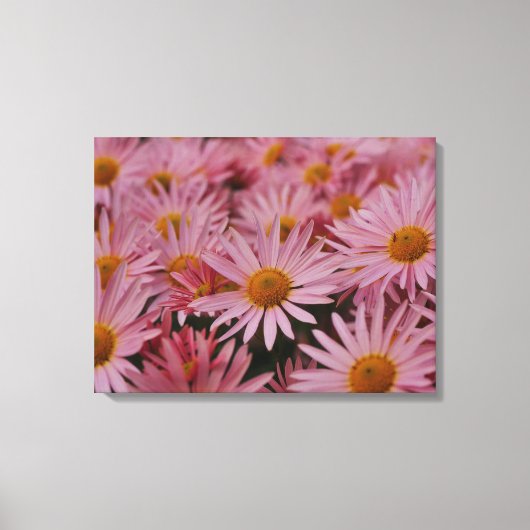 Michaelmas Daisies Canvas Print (Voorkant)