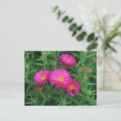 Michaelmas Daisies en Bee Briefkaart (Staand voorkant)