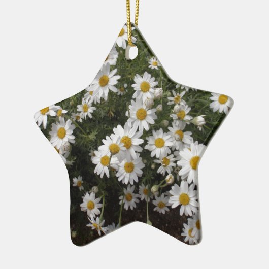 Michaelmas Daisies Keramisch Ornament (Links)