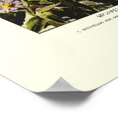 Michaelmas daisies poster (Hoek)