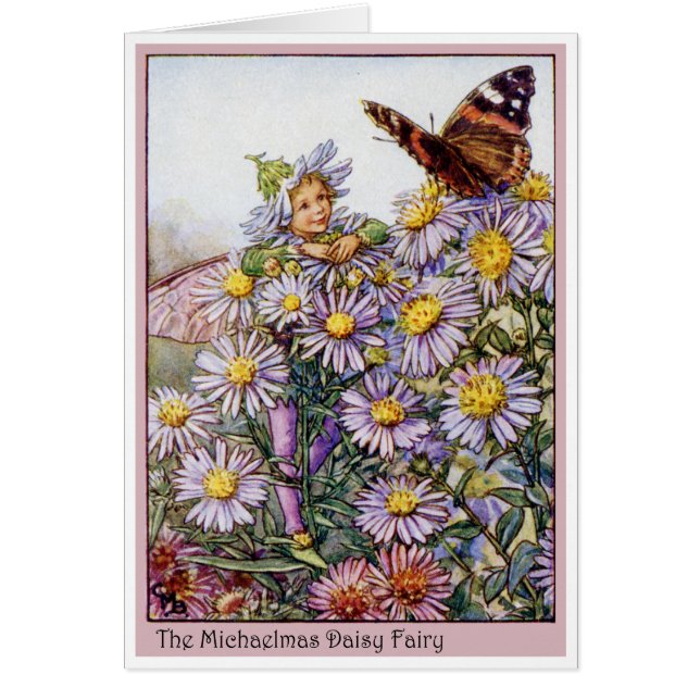 Michaelmas Daisy Fairy (Voorkant)