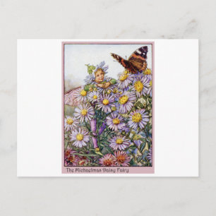 Michaelmas Daisy Fairy Briefkaart