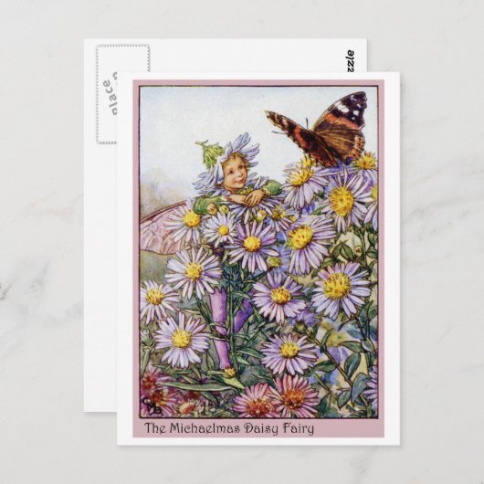 Michaelmas Daisy Fairy Briefkaart (Voorkant / Achterkant)