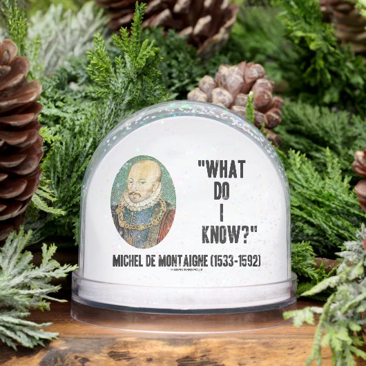 Michel de Montaigne Wat weet ik? prijsopgave Sneeuwbol (Winter)