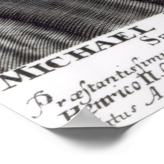 Michel Nostradamus Poster (Hoek)