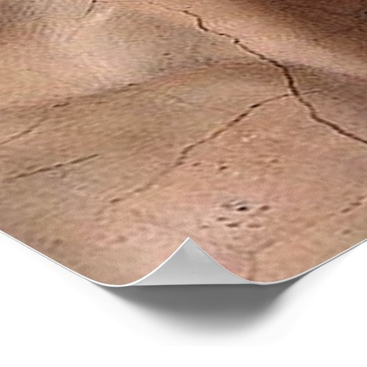 Michelangelo Creatie Adam God Art Poster (Hoek)