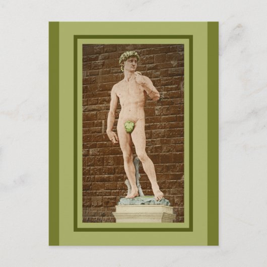 MICHELANGELO DAVID MET VIJGENBLAD BRIEFKAART (Voorkant)