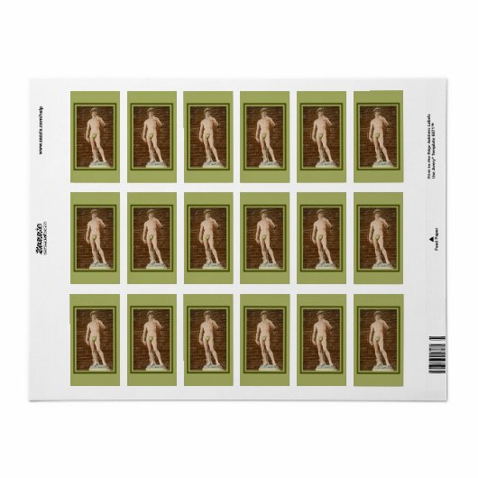 MICHELANGELO DAVID MET VIJGENBLAD ETIKET (Full Sheet)