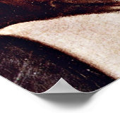 Michelangelo Merisi da Caravaggio - Jesus Poster (Hoek)