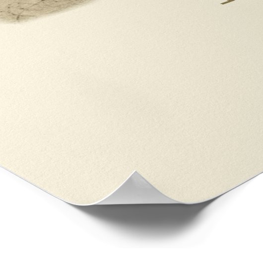 Michelangelo Poster (Hoek)