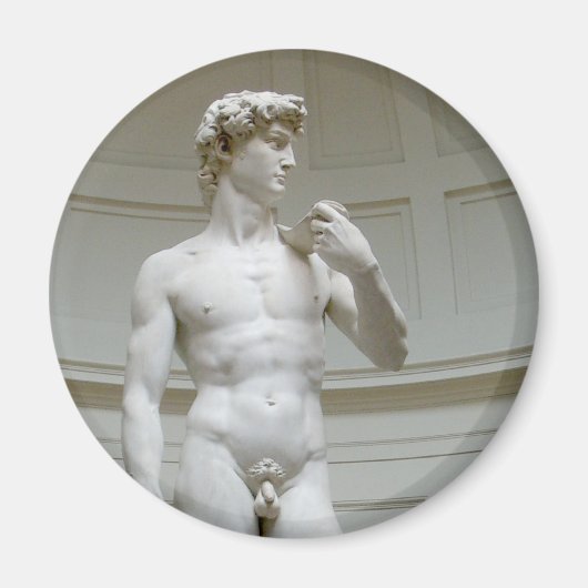 Michelangelo Renaissance Art Magneet (Voorkant)