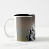 Michelangelo - The Pieta Tweekleurige Koffiemok (Links)