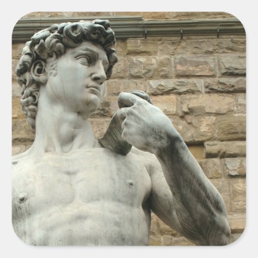 Michelangelo's David 1 Sticker (Voorkant)