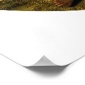 Michelangelo's Doni Tondo of Doni Madonna Poster (Hoek)