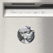 Michelangelo's Pieta detail van Virgin Mary's gezi Magneet (Insitu (Vaatwasser))