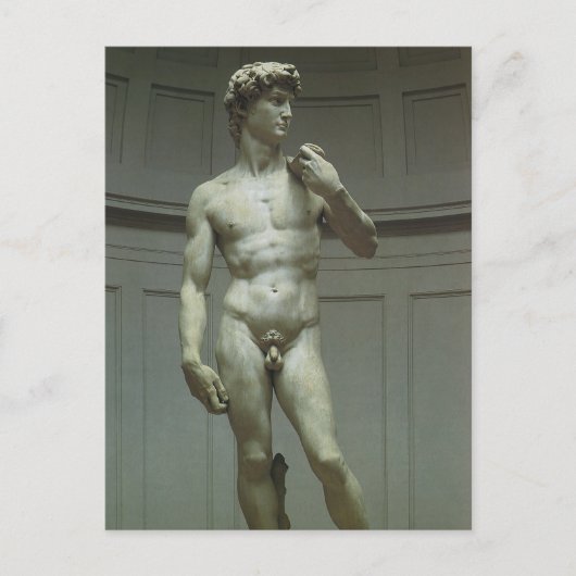 Michelangelo's standbeeld van David Briefkaart (Voorkant)